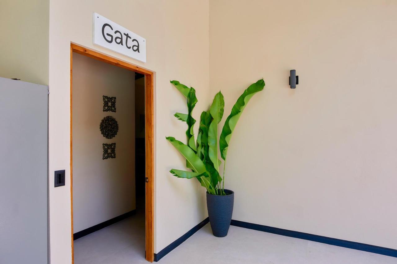 Lalola Villa Privada Cahuita Ngoại thất bức ảnh